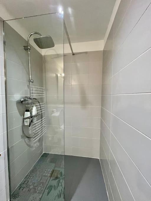 Appartement Confort - Carcassonne Centre Екстериор снимка